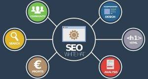 Importance of SEO in Digital Growth