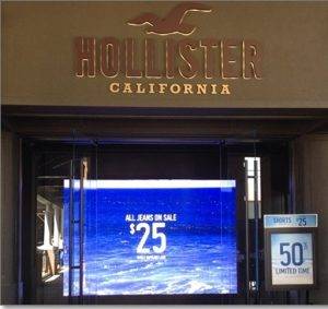 Real Story of Hollister Co
